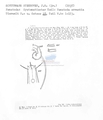 Nematode file-library of the Marine Biology Section (Ghent University, Belgium)