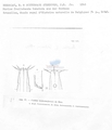Nematode file-library of the Marine Biology Section (Ghent University, Belgium)