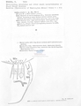 Nematode file-library of the Marine Biology Section (Ghent University, Belgium)