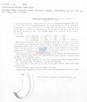 Daptonema acanthospiculum