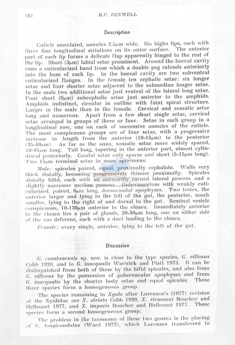 Gonionchus cumbraensis