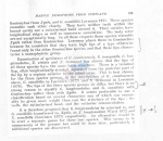 Gonionchus cumbraensis