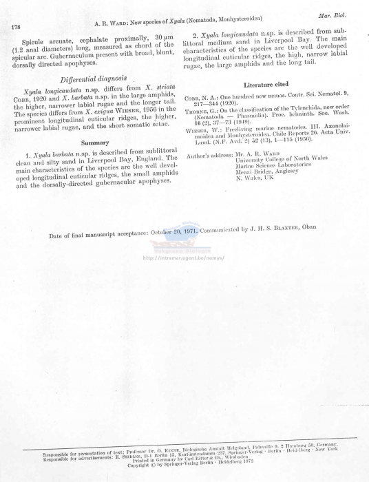 Gonionchus longicaudatus