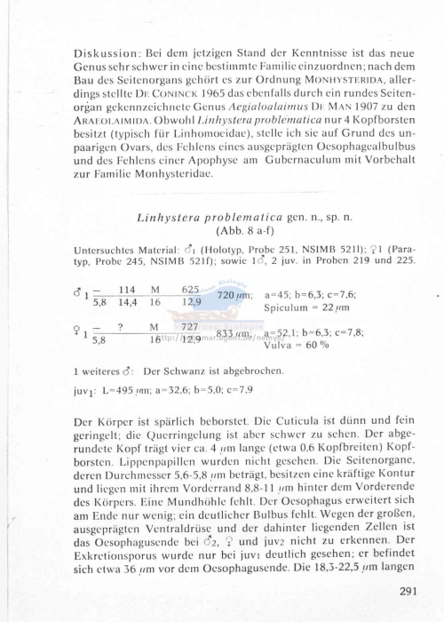 Linhystera problematica