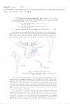 Nematoda (roundworms)