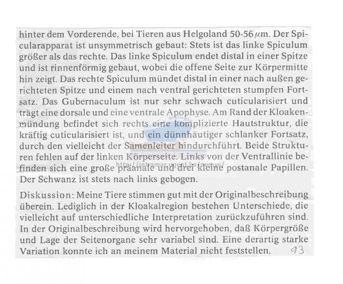 Theristus denticulatus