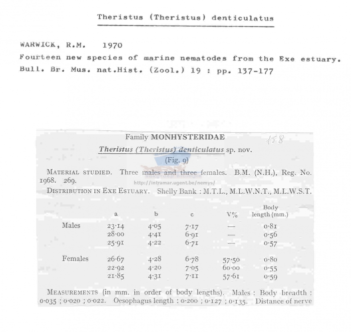 Theristus denticulatus