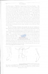 Publication snippets