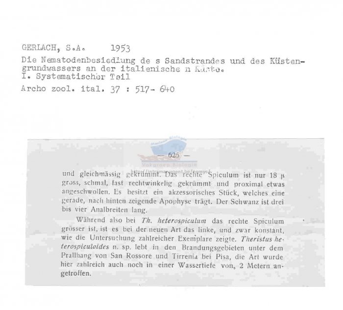 Theristus heterospiculoides