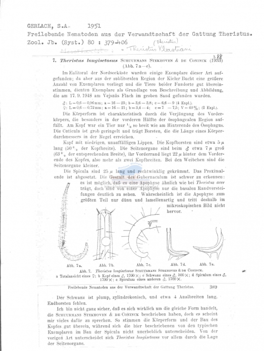 Theristus longisetosus