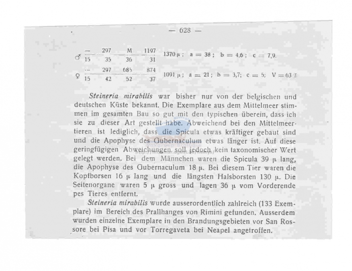 Trichotheristus mirabilis