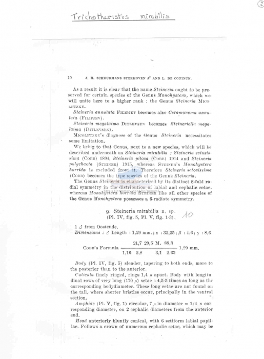 Trichotheristus mirabilis