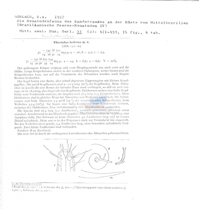 Trichotheristus heterus