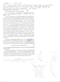 Nematode file-library of the Marine Biology Section (Ghent University, Belgium)