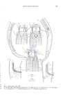 Nematode file-library of the Marine Biology Section (Ghent University, Belgium)