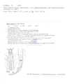 Nematode file-library of the Marine Biology Section (Ghent University, Belgium)