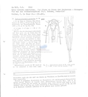 Nematode file-library of the Marine Biology Section (Ghent University, Belgium)