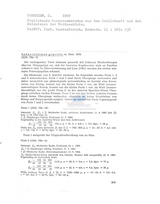 Sphaerolaimus gracilis