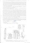 Nematode file-library of the Marine Biology Section (Ghent University, Belgium)