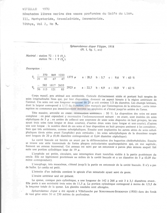 Sphaerolaimus dispar