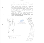 Nematode file-library of the Marine Biology Section (Ghent University, Belgium)