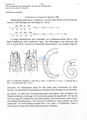 Nematoda (roundworms)