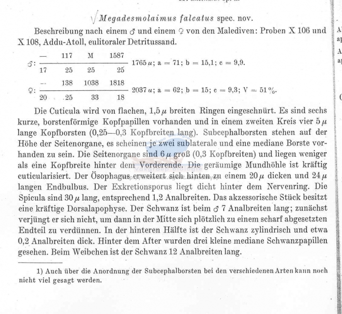 Megadesmolaimus falcatus