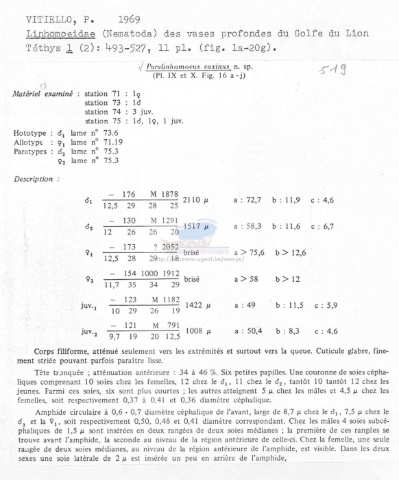Paralinhomoeus caxinus