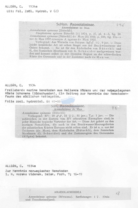 Axonolaimus spinosus