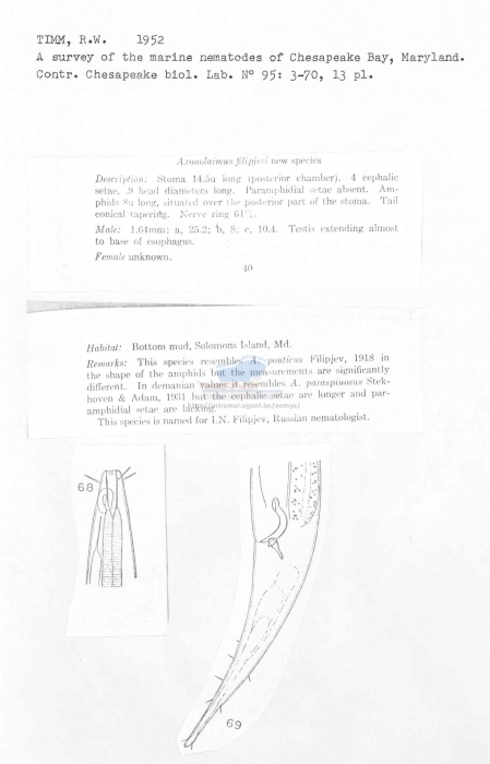 Axonolaimus filipjevi