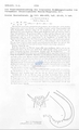 Nematode file-library of the Marine Biology Section (Ghent University, Belgium)