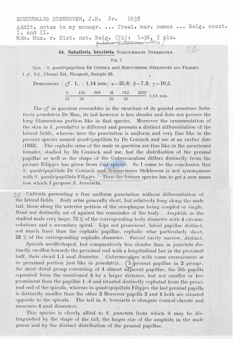 Sabatieria breviseta