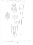 Publication snippets