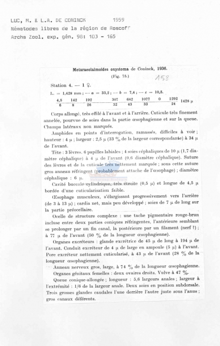 Metaraeolaimoides oxystoma