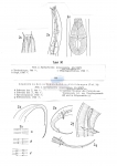 Publication snippets