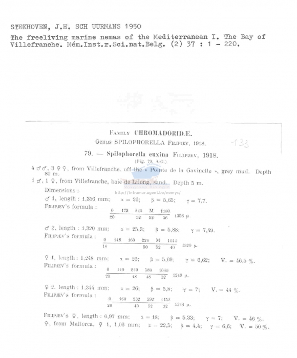 Spilophorella euxina