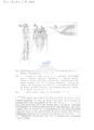 Nematode file-library of the Marine Biology Section (Ghent University, Belgium)
