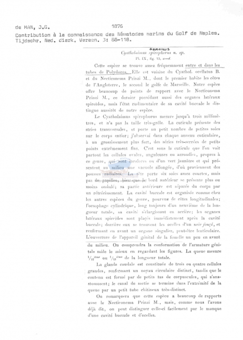 Cyatholaimus gracilis