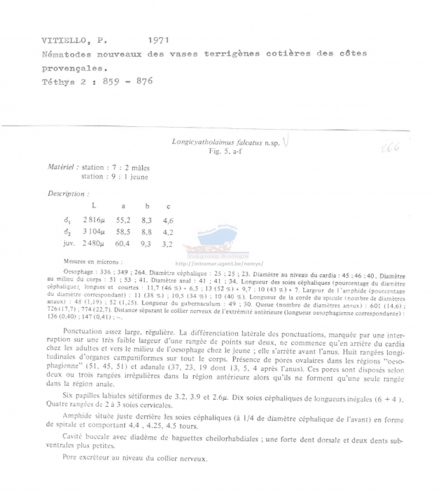 Longicyatholaimus falcatus