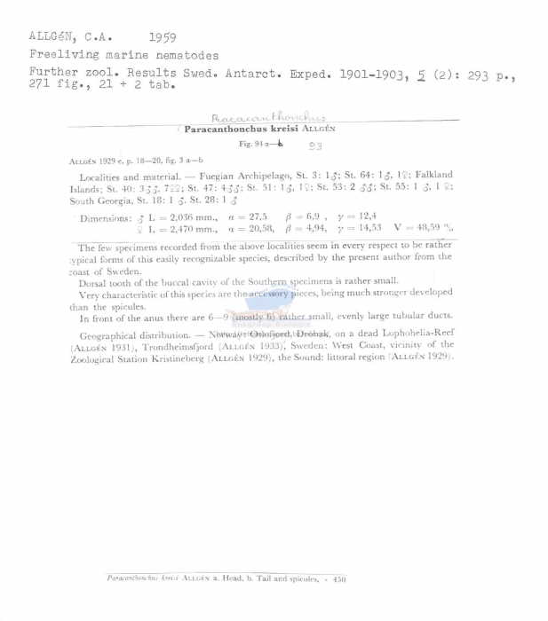 Praeacanthonchus kreisi