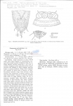 Usarpnema auriculatum