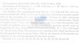 Nematode file-library of the Marine Biology Section (Ghent University, Belgium)