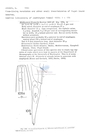 Nematode file-library of the Marine Biology Section (Ghent University, Belgium)