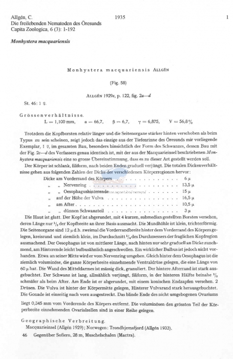 Monhystera macquariensis