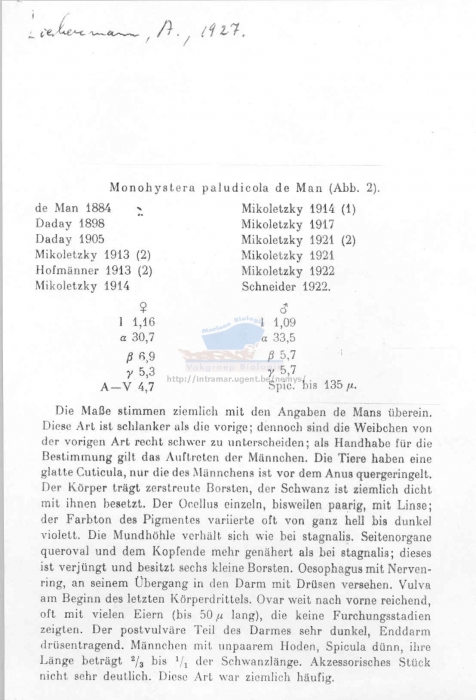 Monhystera paludicola