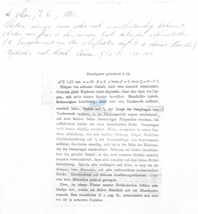 Monhystera paludicola