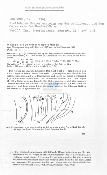Monhystera paramacramphis