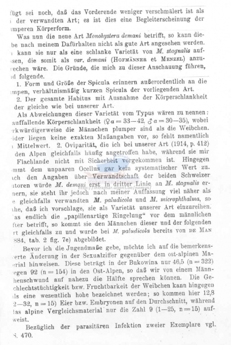 Monhystera stagnalis