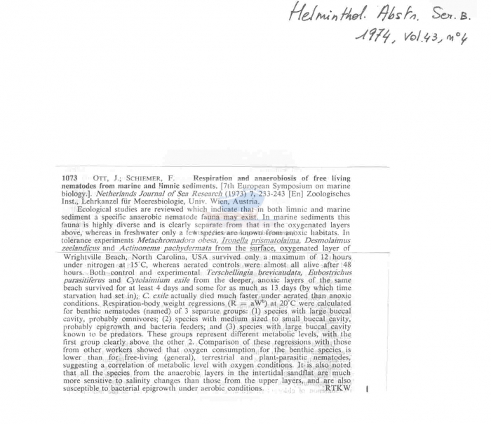 Ironella prismatolaima