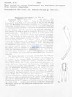 Nematode file-library of the Marine Biology Section (Ghent University, Belgium)